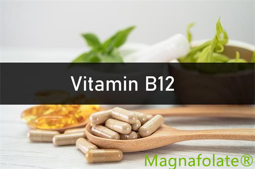 ビタミンB12：はじめに、効能、健康