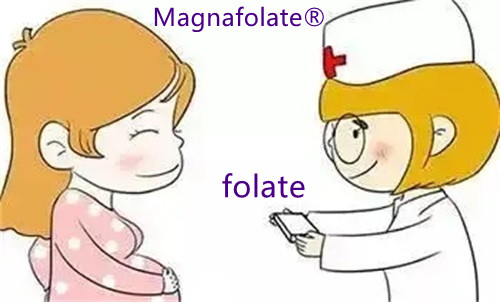 適切な葉酸をどのように摂取すればよいでしょうか?