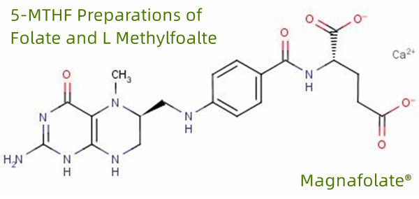 葉酸塩およびLメチルホルテトの5-MTHF調製物