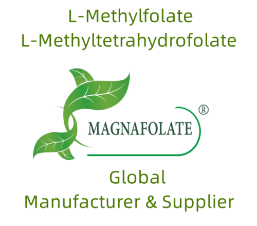 葉酸補給のための Magnafolate®