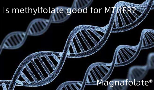 葉酸メチルはMTHFRに効果がありますか?