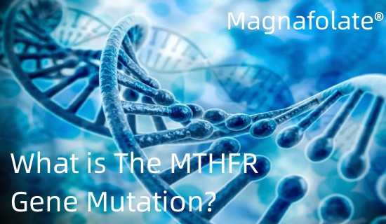 MTHFR遺伝子変異とは何ですか?