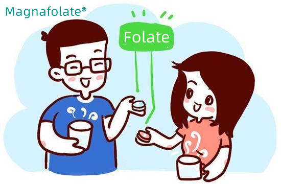 1日にどれくらいの葉酸を摂取すべきですか？