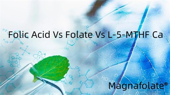葉酸 vs 葉酸塩 vs L-5-MTHF Ca