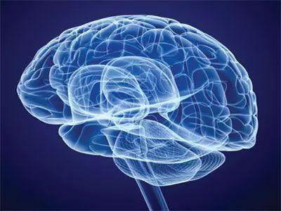 葉酸は神経系を保護し、認知症やパーキンソン病を予防します