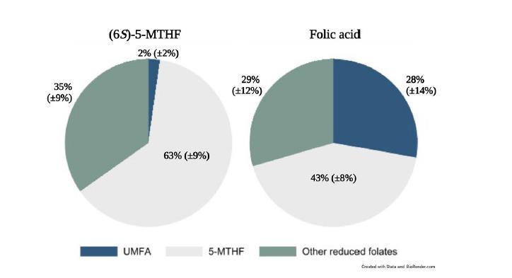 気をつけて！ Scientific Reports の研究では、授乳中の女性が葉酸を補給すると、母乳中の葉酸塩の 28 % が利用できない未代謝葉酸 (UMFA) であり、生理活性型を摂取する母親の 14 倍であることが確認されています。